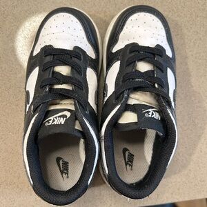 Toddler Nike Dunk Low